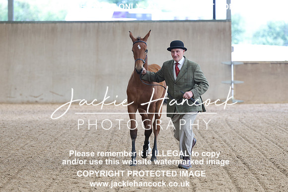 JHP20091