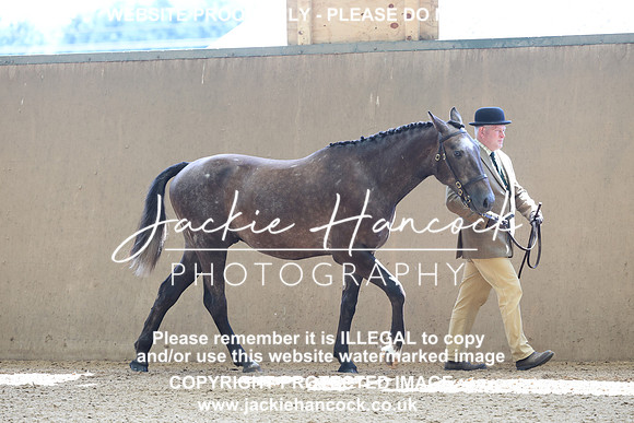 JHP20111