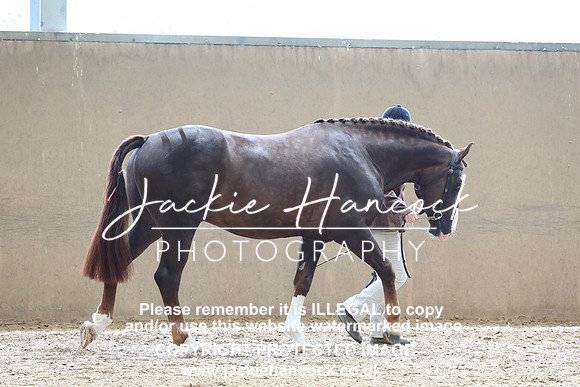 JHP20391
