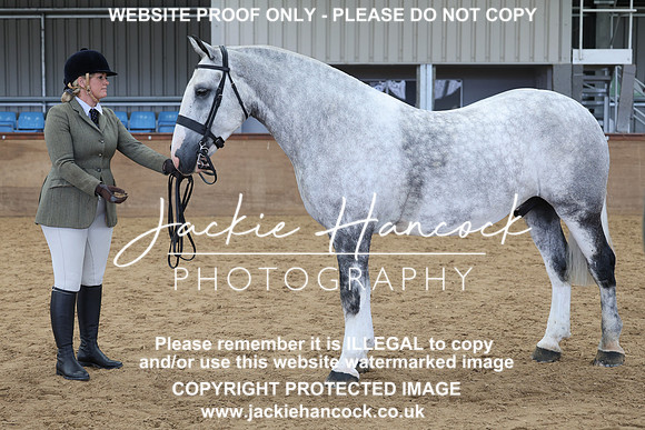 JHP20819