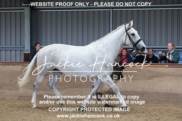 JHP20432