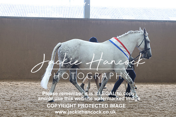 JHP20298