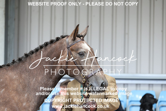 JHP20118