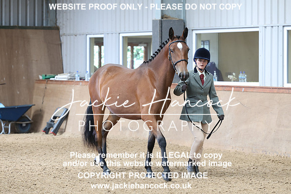 JHP20133