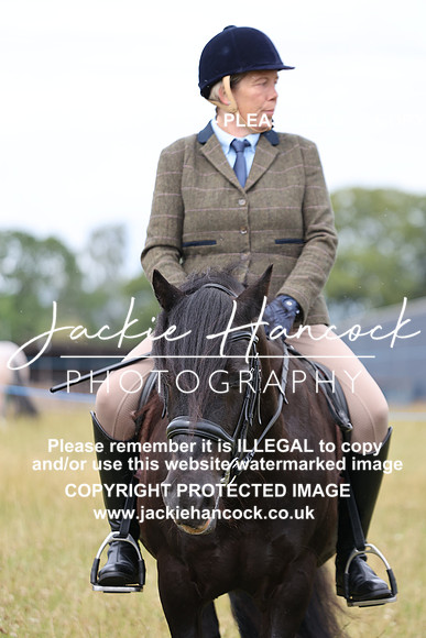JHP_9564