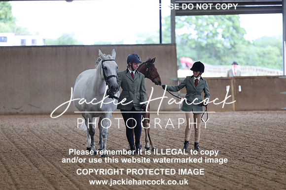 JHP20019