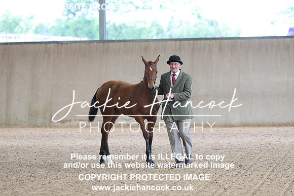 JHP20087
