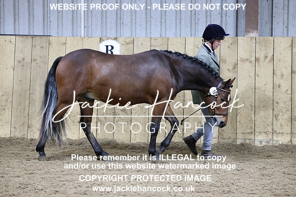1S8A0261