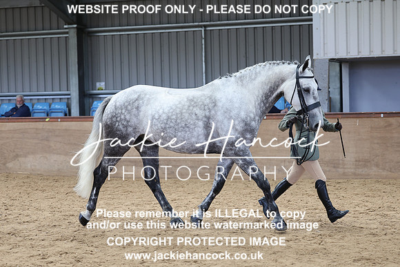 JHP21173