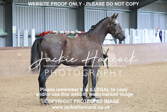 JHP20139