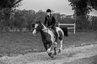 095245-UCP-2