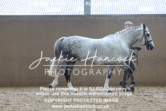 JHP20618