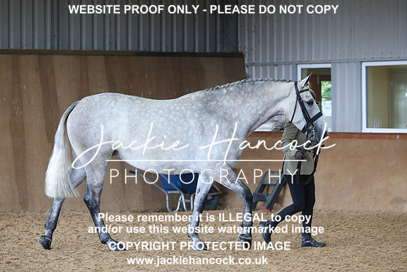 JHP20319