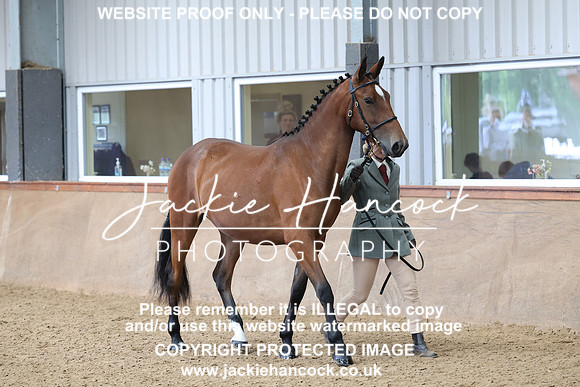 JHP20129