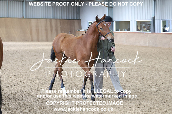 JHP20095
