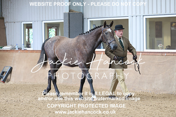 JHP20137