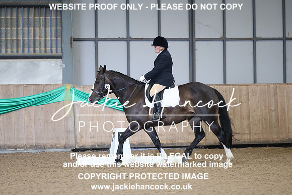 JHP20079