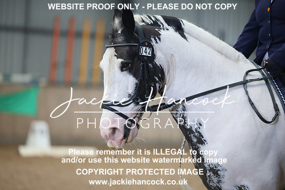 JHP20609