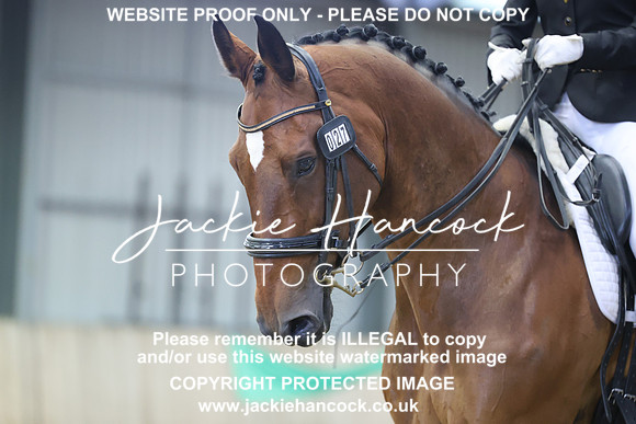JHP21287