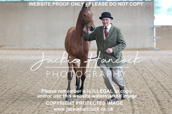 JHP20093
