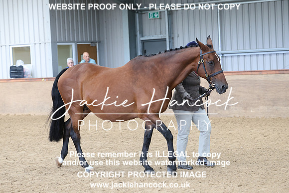 JHP20063