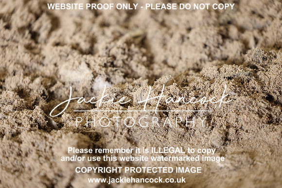 R5JH0482