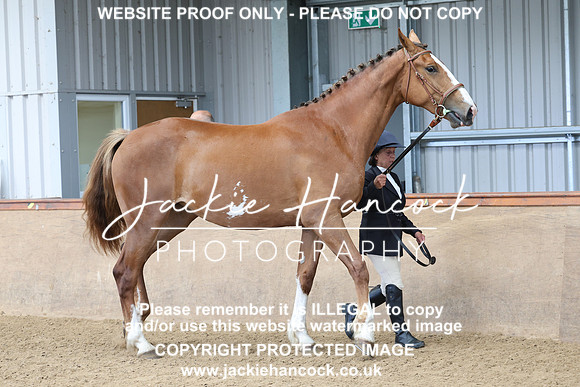 JHP20123