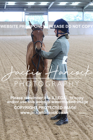 JHP20010