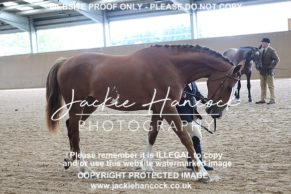 JHP20156