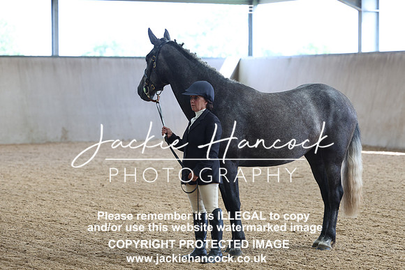 JHP20268