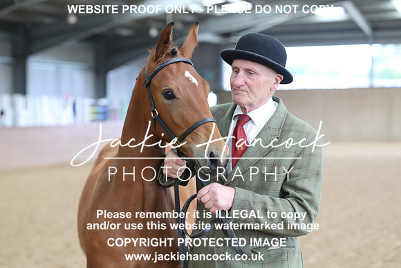 JHP20090