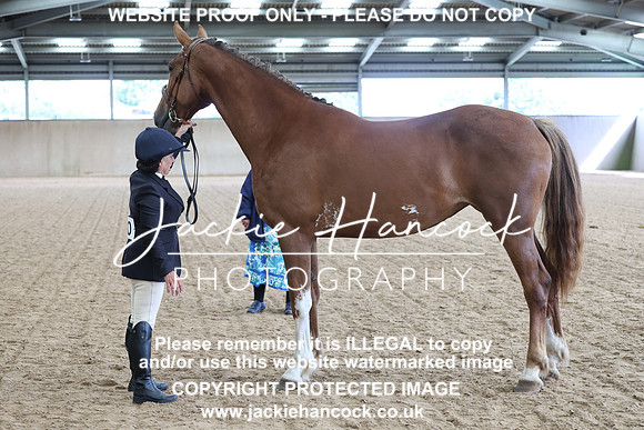 JHP20153
