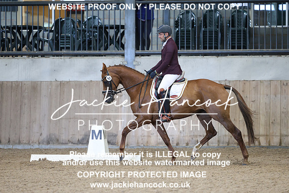 JHP21173