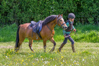 MC-12