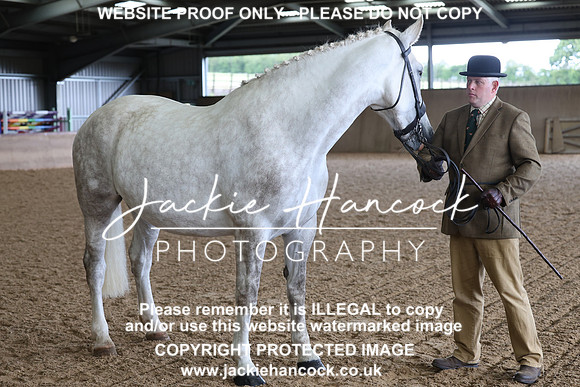 JHP20313