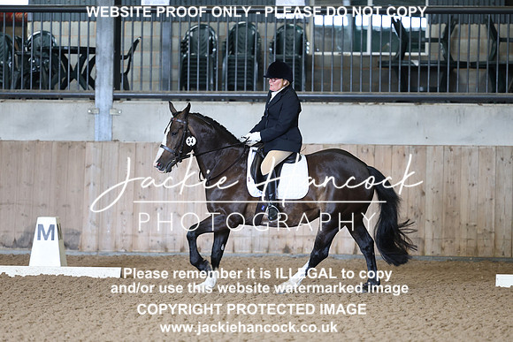 JHP20085