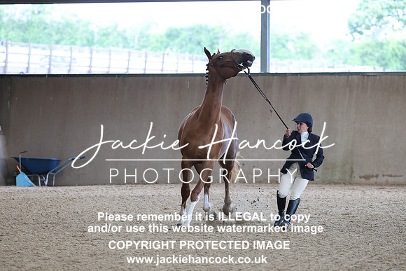 JHP20157