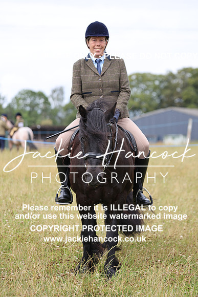 JHP_9565