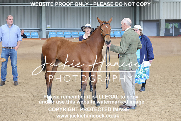 JHP20099