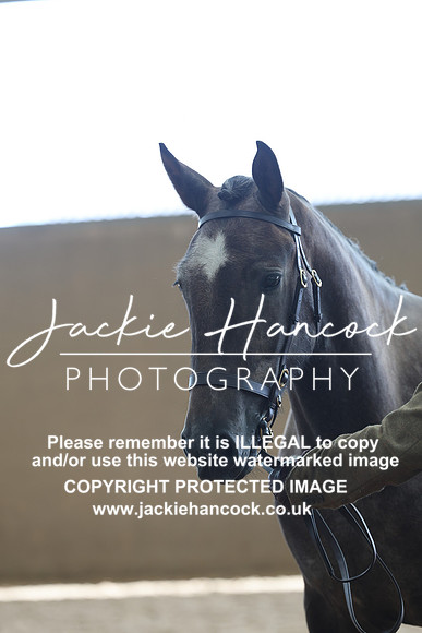 JHP20275