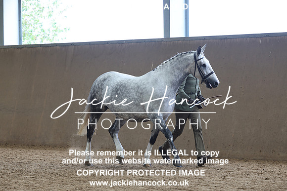 JHP20627
