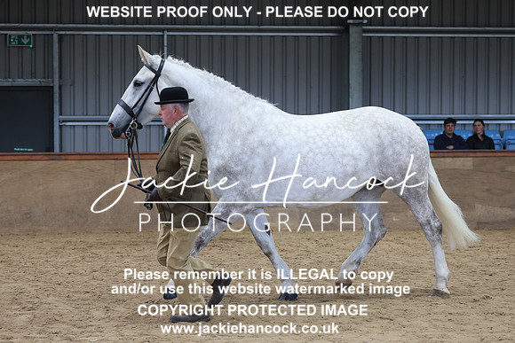 JHP20353