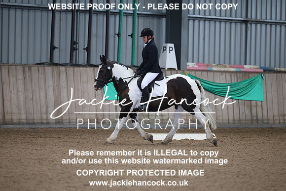 JHP20029