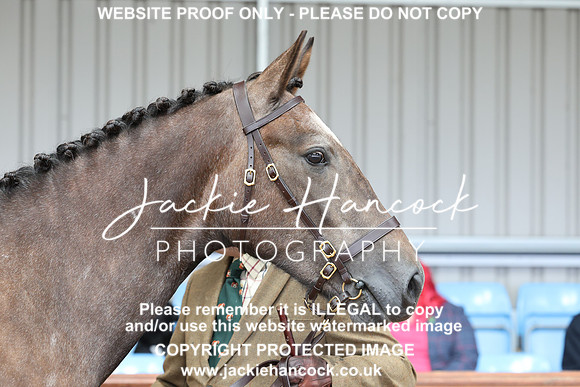 JHP20121