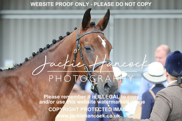 JHP20073