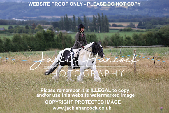 JHP_9545