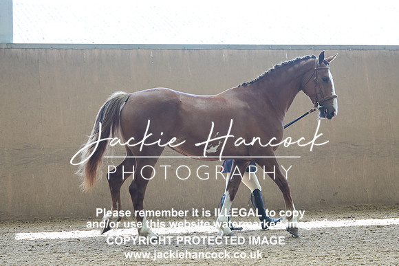 JHP20132