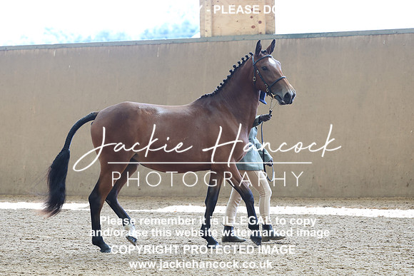 JHP20131