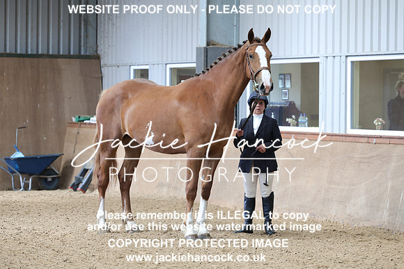 JHP20119