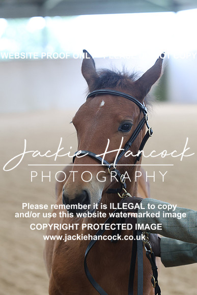 JHP20012